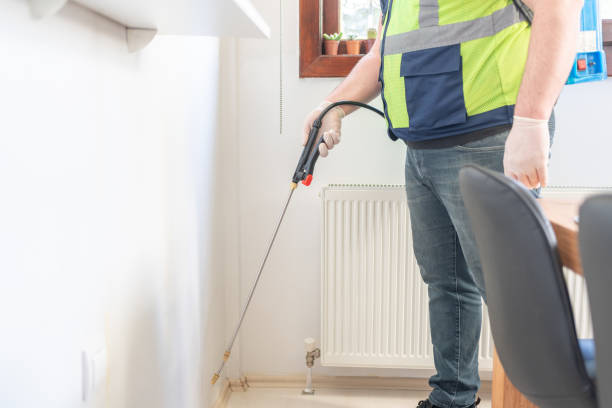 Best Ant Control Services  in Renton, WA