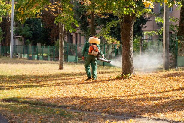 Best Cockroach Control Services  in Renton, WA